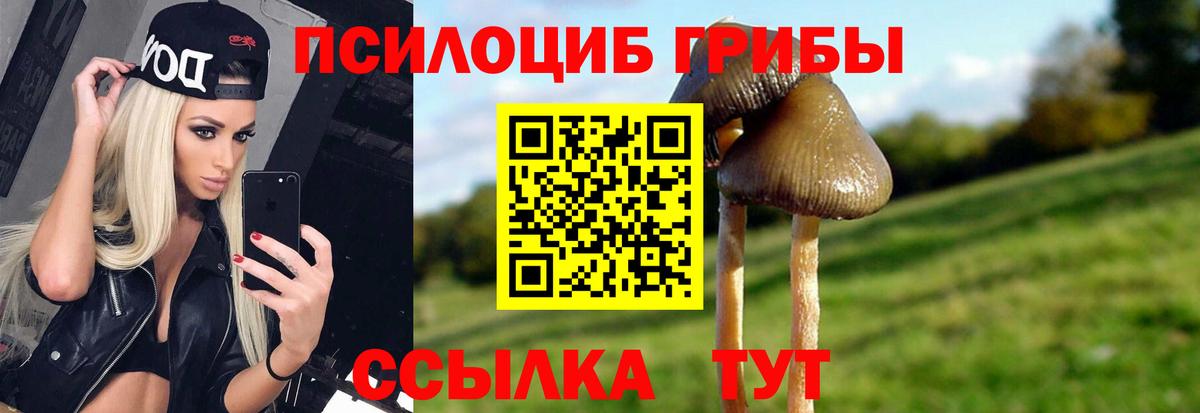 Псилоцибиновые грибы GOLDEN TEACHER Новошахтинск